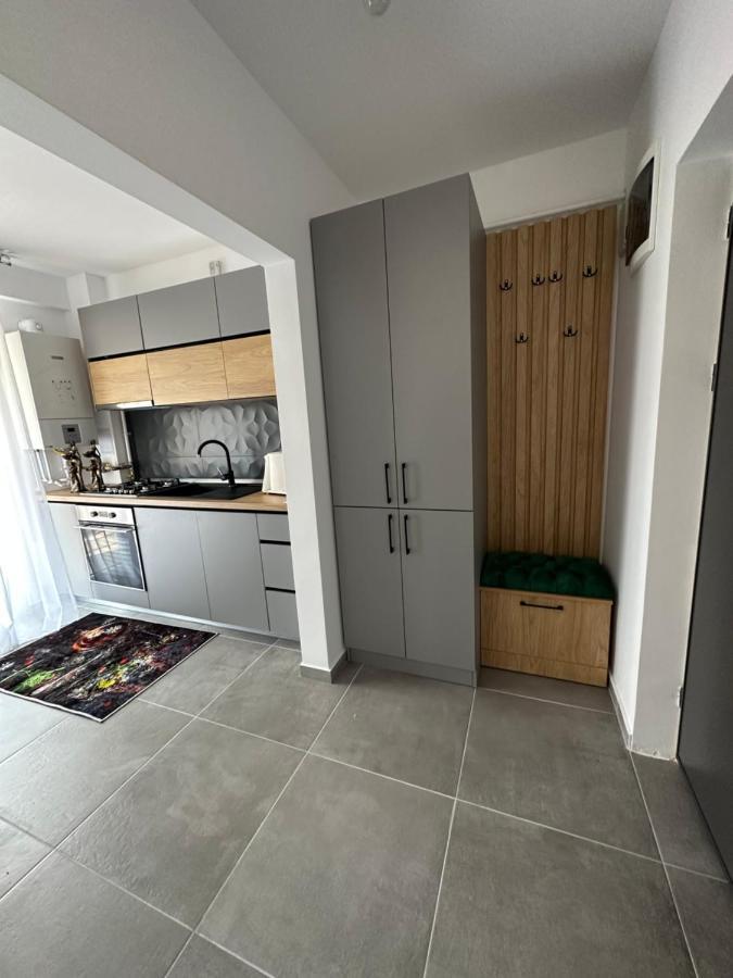 Apartamente Arinis Gura Humorului Luaran gambar