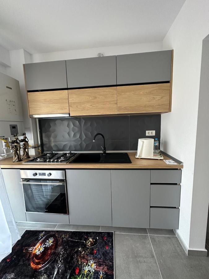 Apartamente Arinis Gura Humorului Luaran gambar